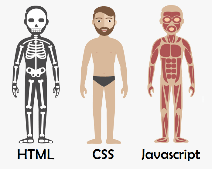 Cover Image for Frontend Web - HTML, CSS e Javascript
